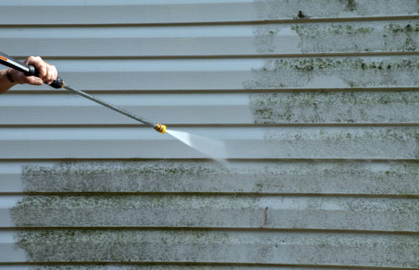 Mold Removal Process in El Paso, TX