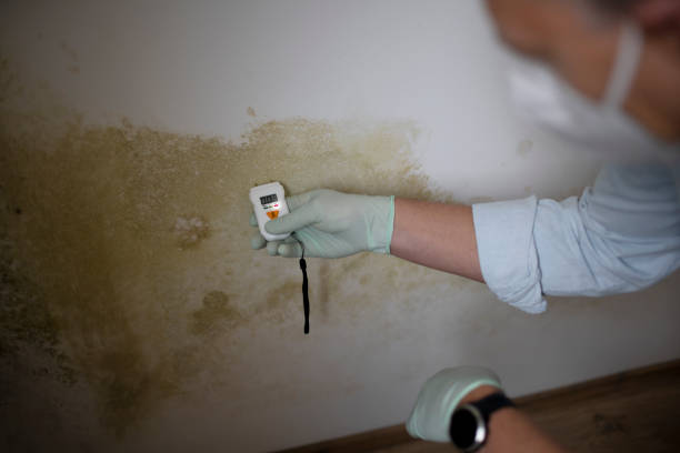 Best Crawl Space Mold Removal  in El Paso, TX